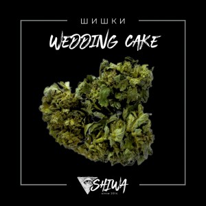 kupit-shishki-boshki-wedding-cake.jpeg